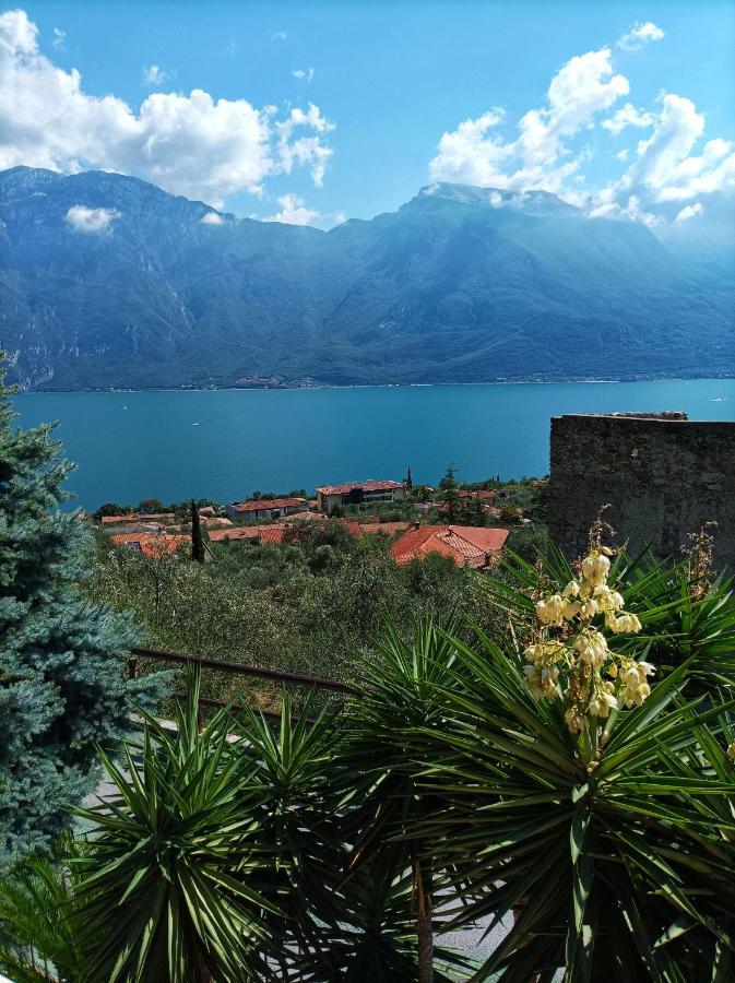 Villa Fior Di Loto Limone sul Garda Bagian luar foto